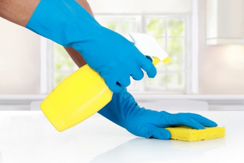 SSL encrypted Westminster carpet cleaning payment process on a secure platform