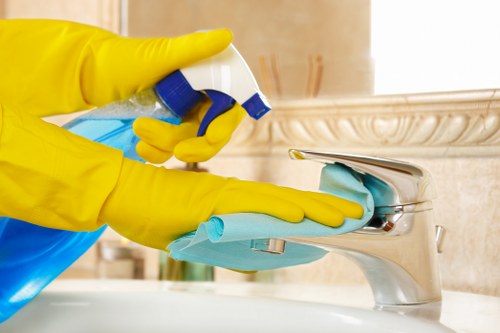 Professional domestic cleaning in a Westminster home interior