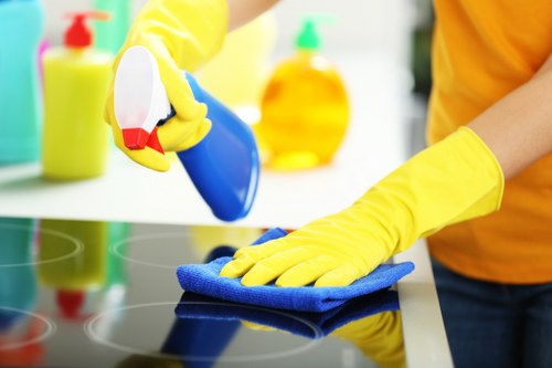 Westminster carpet cleaning service with protective equipment and planning