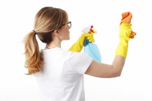 Kitchen appliance cleaning for Westminster homes