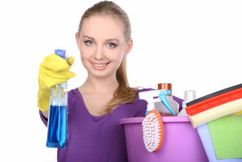 Kitchen and bathroom cleaning for Westminster households