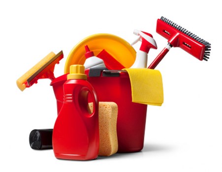 Professional handling of a carpet cleaning issue